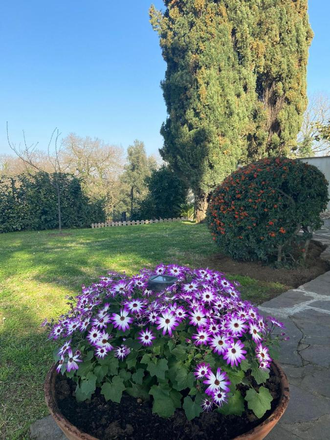 Villa Del Rubbio 罗马 外观 照片